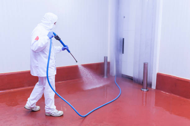 Best Playground Equipment Cleaning  in Oak Harbor, OH